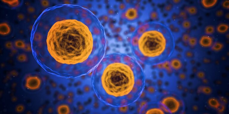Tumor Stammzellen – stemtrac neueste Forschungsergebnisse
