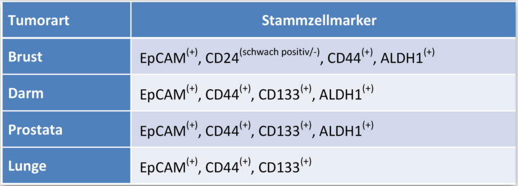 Tumorstammzell-Analyse typische Krebsmarker